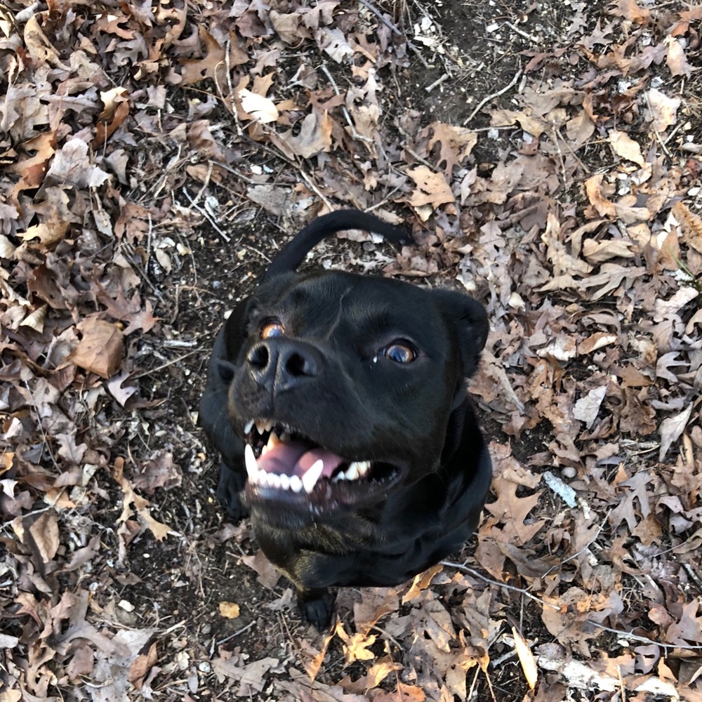 Meet your Posher, Gabrielle